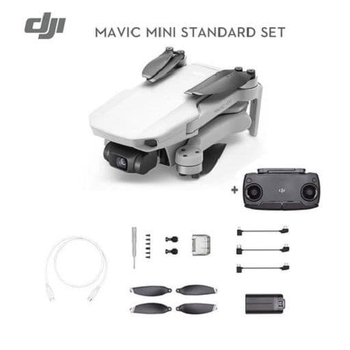 DJI Mavic Mini Standard 1