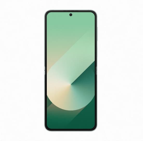 Samsung  Galaxy Z Flip 6 12GB/256GB 10