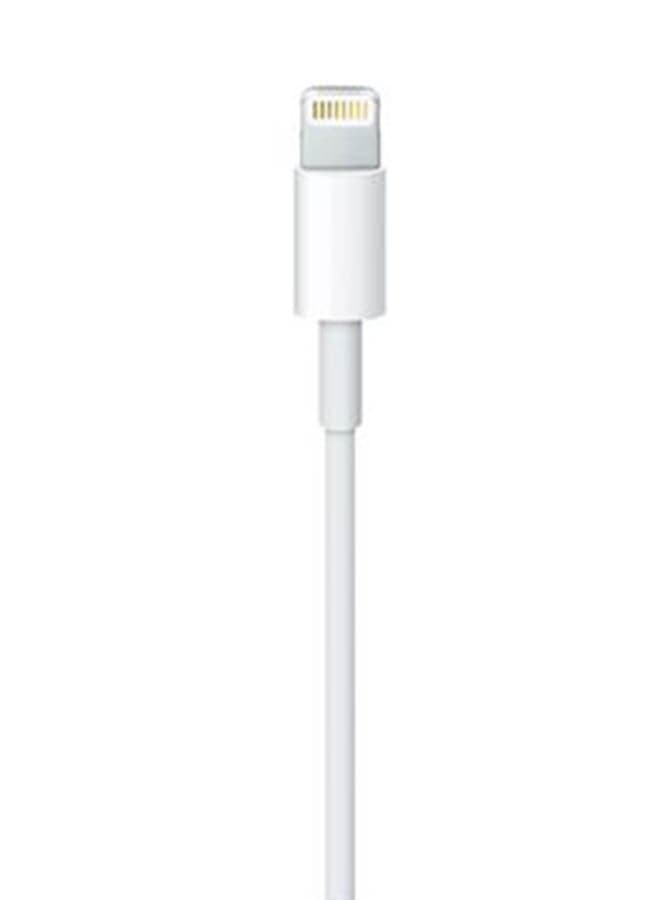 Apple EarPods With Lightning Connector White