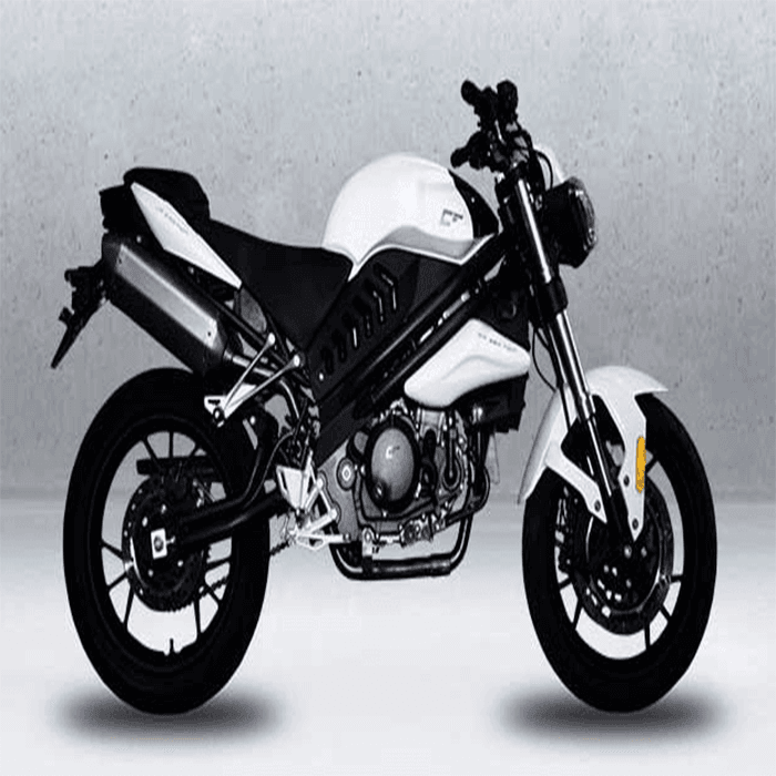 CF Twin 250 EFI 1