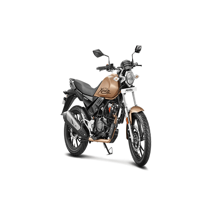 Hero Xpulse 200T 2