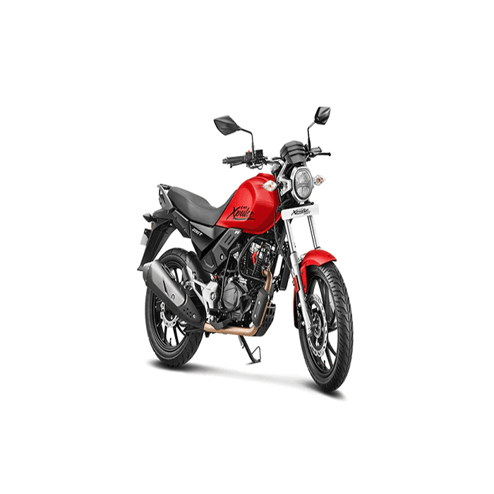 Hero Xpulse 200T 1