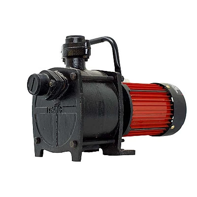 Sarvo Zappy shallow well 1 hp monoblok pump - Buy Online at Best Price