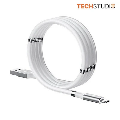 REMAX Magnetic Storing Series Data Cable RC-125i - Buy Online at Best Price