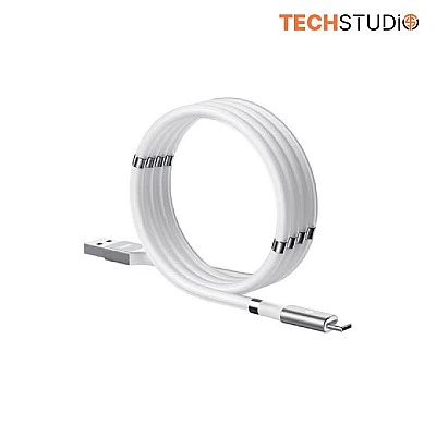 Remax Magnetic Storing Series Data Cable Type-C RC-125a - Buy Online at Best Price