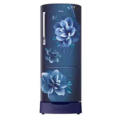 Samsung 192 L Single Door Refrigerator RR20R284ZCU/IM - Buy Online at Best Price