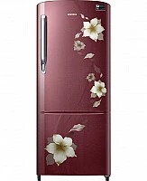 Samsung 192L Single Door Refrigerator RR20M2741R2