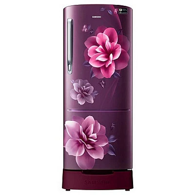 Samsung 192L Single Door Refrigerator RR20R284ZCR/IM - Buy Online at Best Price