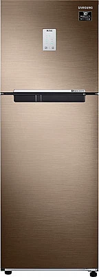 Samsung 244 L  Inverter Frost-Free Double Door Refrigerator RT28T3522DU/IM - Buy Online at Best Price