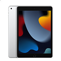 iPad 9th gen 10.2 inch 256GB 2021 (WIFI +Cellular)