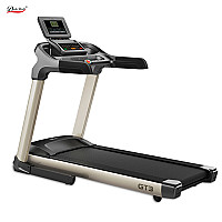 Light Commercial Motorized Treadmill (GT3) - Daily Youth