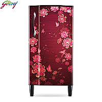 Godrej Refrigerator 190 Ltr - RDEDGE205B 23 WHF JY WN