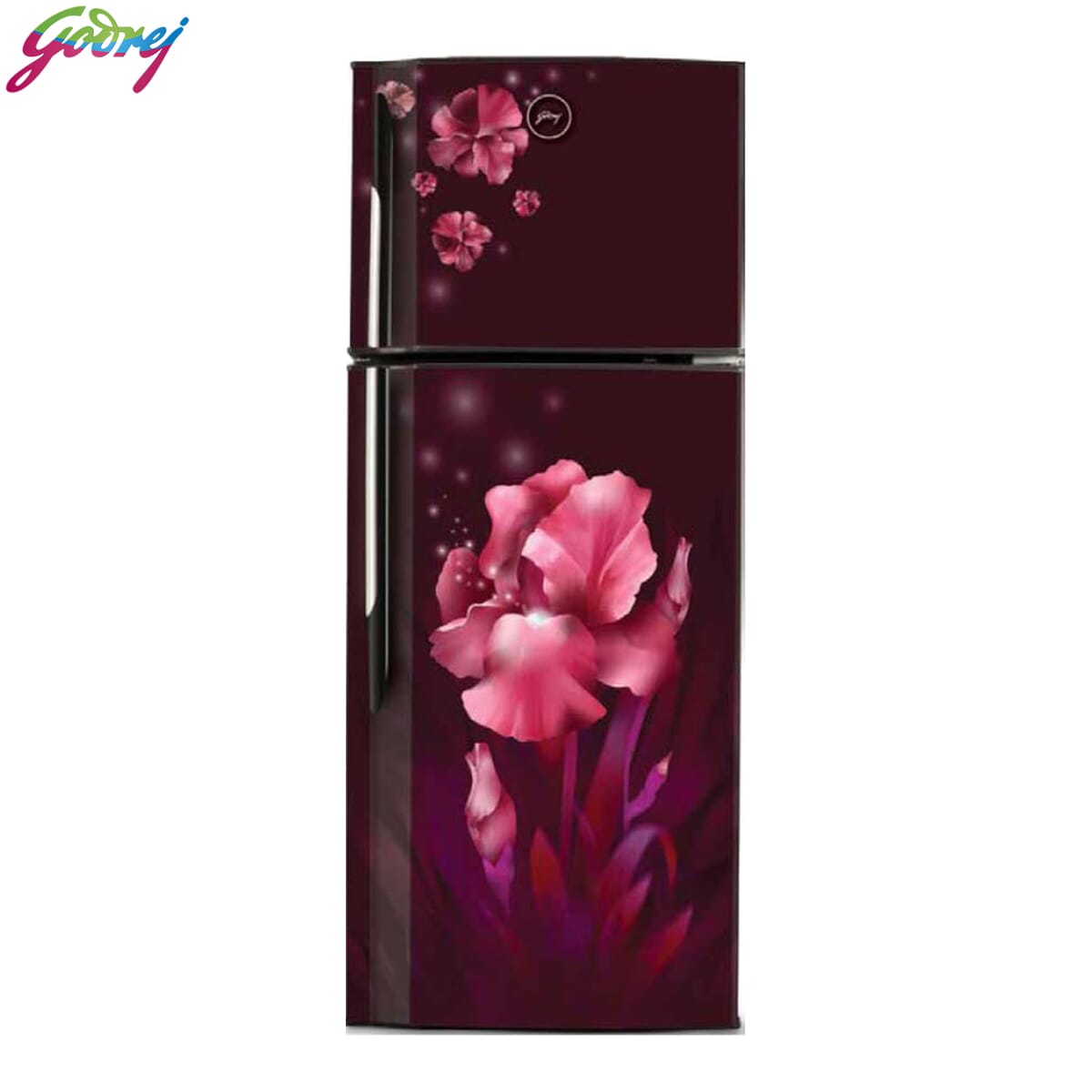 Godrej Refrigerator 240 Ltr. - RT EON 240 NL AQ WN