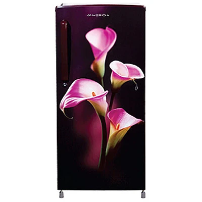 CG Single Door Refrigerator 192 LtrsCGMRS2122PLCL - Buy Online at Best Price
