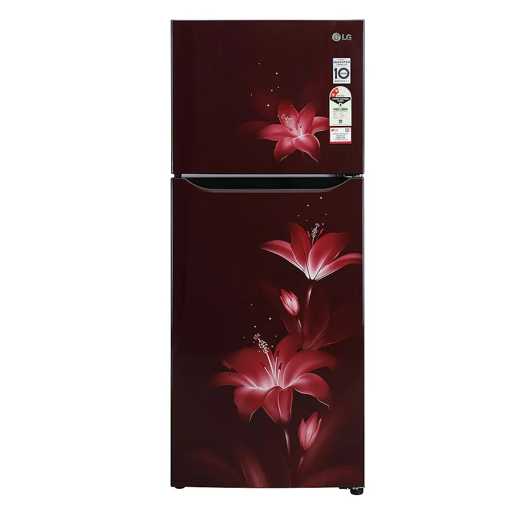 LG Refrigerator 260 LtrsGLK272SPTL.ARGQ