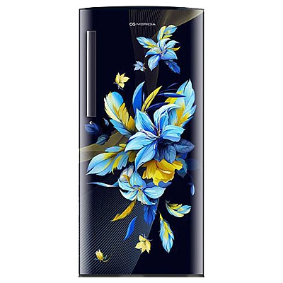 CG 192 Ltrs Single Door Refrigerator  CGMRS212BO - Buy Online at Best Price