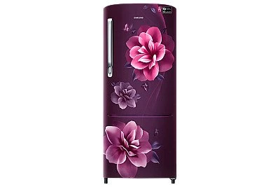 RR24A272ZCR Samsung Single Door Refrigerator with Digital Inverter Technology, 230L - Buy Online at Best Price