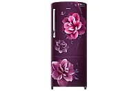 RR24A272ZCR Samsung Single Door Refrigerator with Digital Inverter Technology, 230L