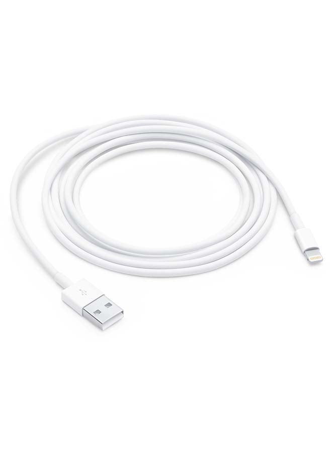 Apple 2 in 1 Pack of Apple W USB Power Adapter