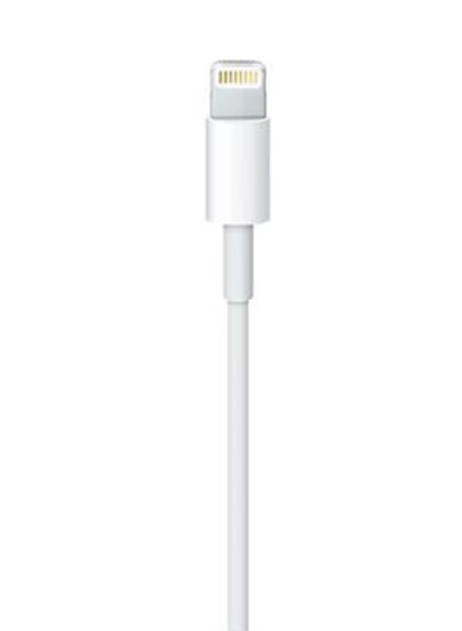 Apple EarPods With Lightning Connector White