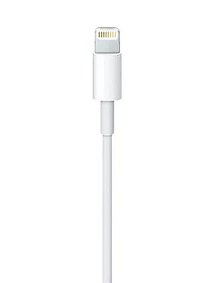 Apple EarPods With Lightning Connector White - Buy Online at Best Price